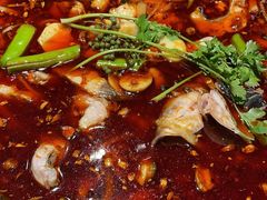 仔姜贡椒鱼-小饕荟雅安贡椒鱼鲜馆(广福桥店)