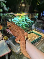 -酷嗒动物文化乐园(cutezoo西溪乐天城店)