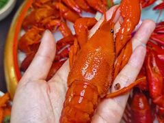 -江味龙虾馆·裸蓝龙虾(南山店)