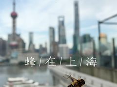 -罗斯福色戒酒吧(外滩店)