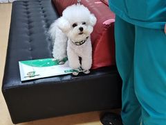 -瑞派天宁宠物医院·猫科·异宠中心