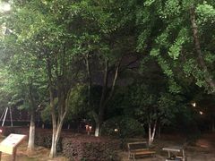 -燕鸣岛