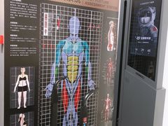 -天行健身＆天行拳馆跆拳道·格斗TXGYM