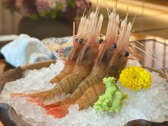 -月龍吟(朝龙汇店)