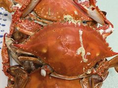 本地野生海蟹-北塘海鲜·天津菜(大光明桥旗舰店)