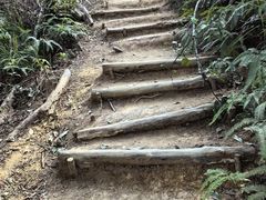 -马峦山郊野公园