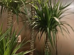 -海底捞火锅(赛格国际购物中心店)