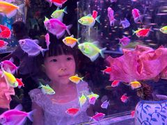-南昌融创海世界