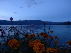 -云朵小院·石锅鱼·野生菌餐厅(蒗放店)