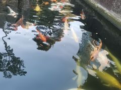 -名树园