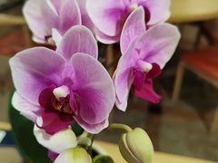 -佛有缘素食馆·荔湾老字号(陈家祠首店)