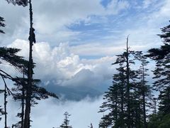 -瓦屋山景区