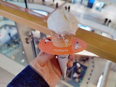-野人先生现做冰淇淋(北京环宇荟店)