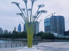 -西北湖绿化广场