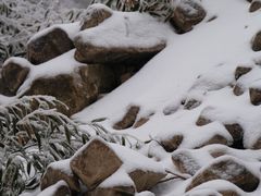 -湖州龙王山景区