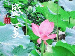 -莲池书院博物馆