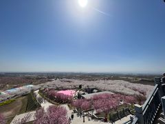 -古柏渡飞黄旅游区