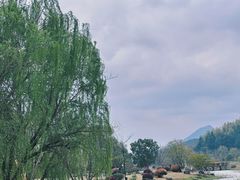 -径山花海