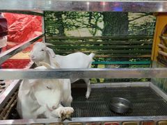 -上海大自然野生昆虫馆