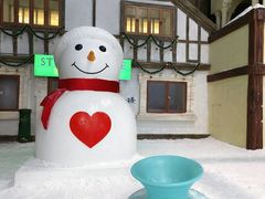 -世界之窗阿尔卑斯冰雪世界