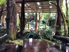 -绿光森林餐厅