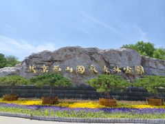 -北京西山国家森林公园