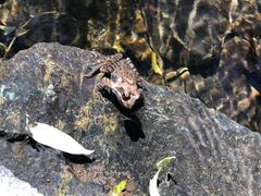 -碓臼峪自然风景区