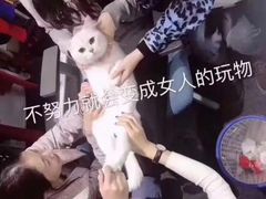 -上海外国语大学(虹口校区)