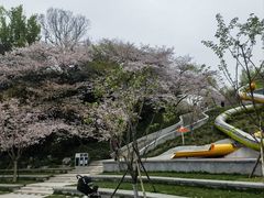 -杭州少年儿童公园