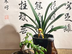 -榫卯咖啡
