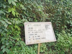 -黑龙江中医药大学