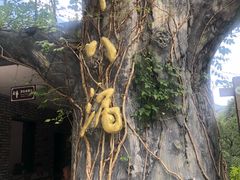 -磐安十八涡风景区