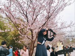 -武汉大学-樱园