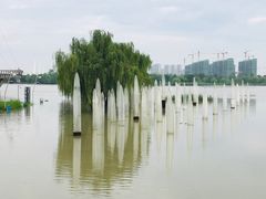 -南京眼步行桥