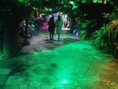 景点-蓬莱欧乐堡海洋极地世界