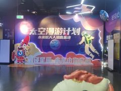 -中国宋庆龄青少年科技文化交流中心