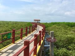 -北海金海湾红树林生态旅游区