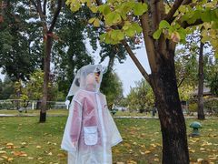 -国家图书馆·古籍馆