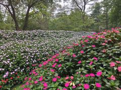 -沈阳植物园
