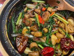 -沙胆彪炭炉牛杂煲(上海日月光广场店)