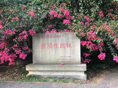 -张坝桂圆林公园
