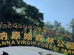 -西双版纳原始森林公园