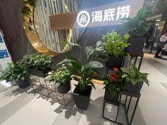 -海底捞火锅(万丰桥店)