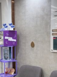 -深圳鹏爱秀琪医疗美容医院