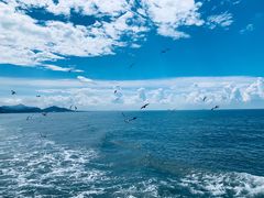 -海驴岛(荣成市)