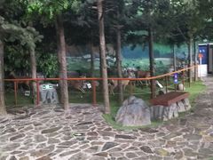 -吉林省自然博物馆