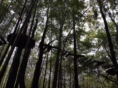 -石燕湖生态旅游景区