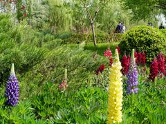 -国家植物园南园