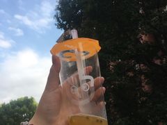 -海曙西区老大房(孝闻街店)