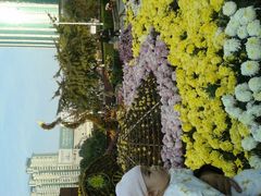 android_upload_pic-西北湖绿化广场